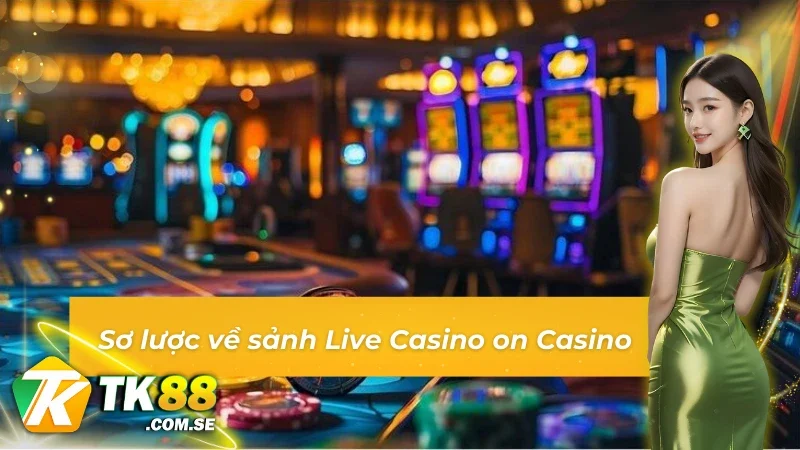 Các thông tin xoay quanh sảnh Casino on Casino