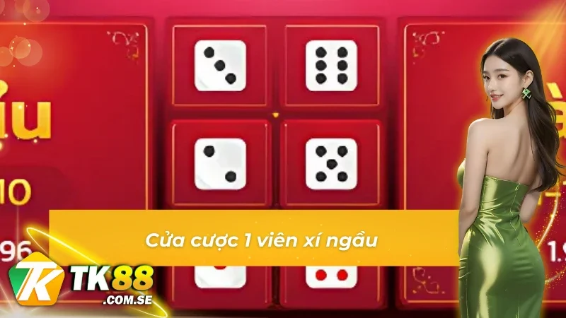 Cửa cược 1 viên xí ngầu trong Tài xỉu 30s TK88