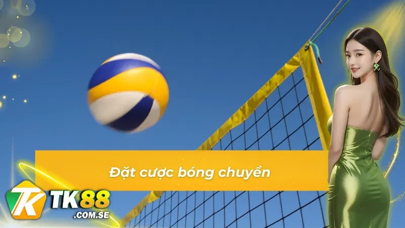 Bóng chuyền - Loại hình thể thao ăn khách tại thể thao IM