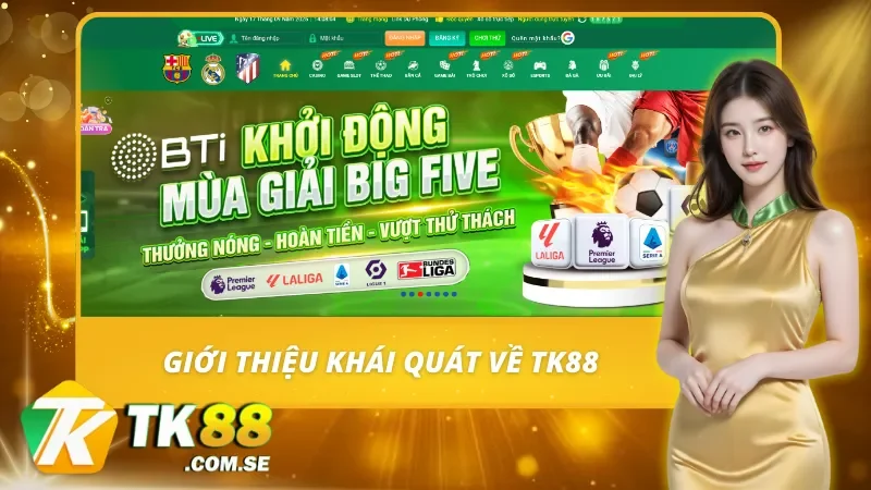 Vài nét cơ bản về TK88